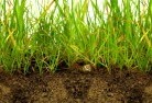 Paddys Greensub-soil-drainage-6.jpg; ?>